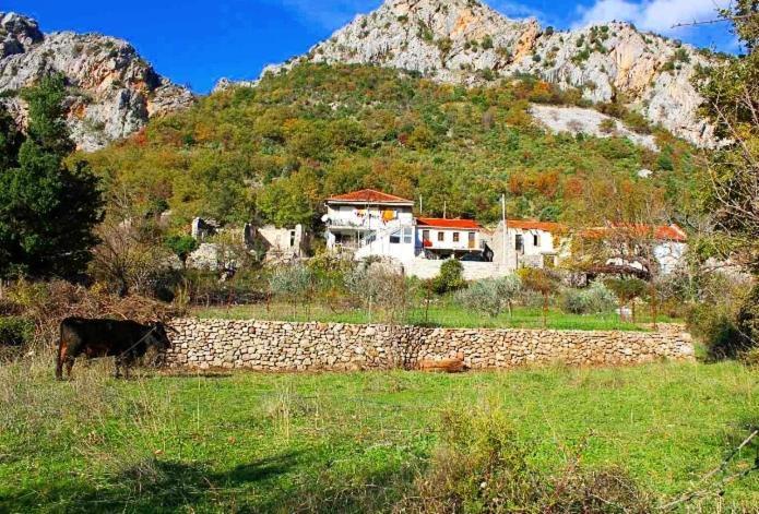 Apartmani Dumezic Bar Kültér fotó