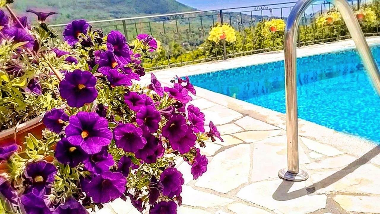 Apartmani Dumezic Bar Szoba fotó