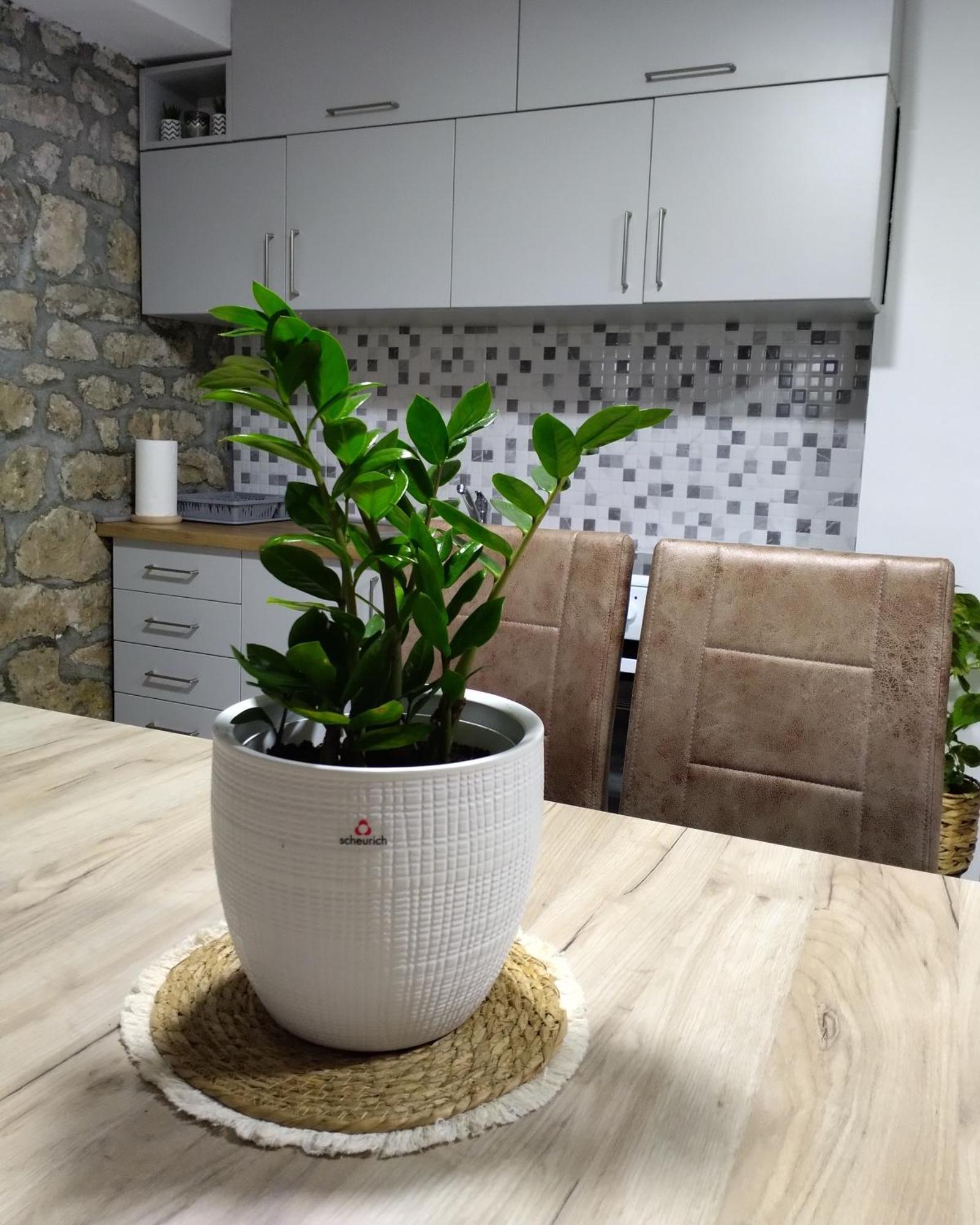 Apartmani Dumezic Bar Szoba fotó