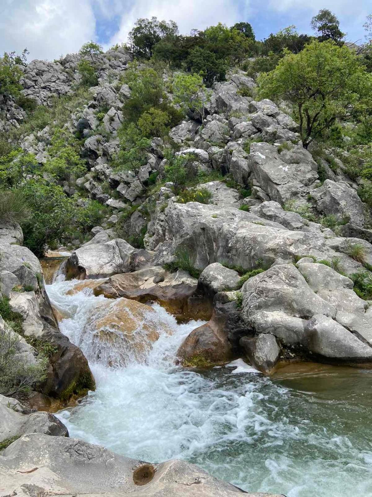 Apartmani Dumezic Bar Kültér fotó