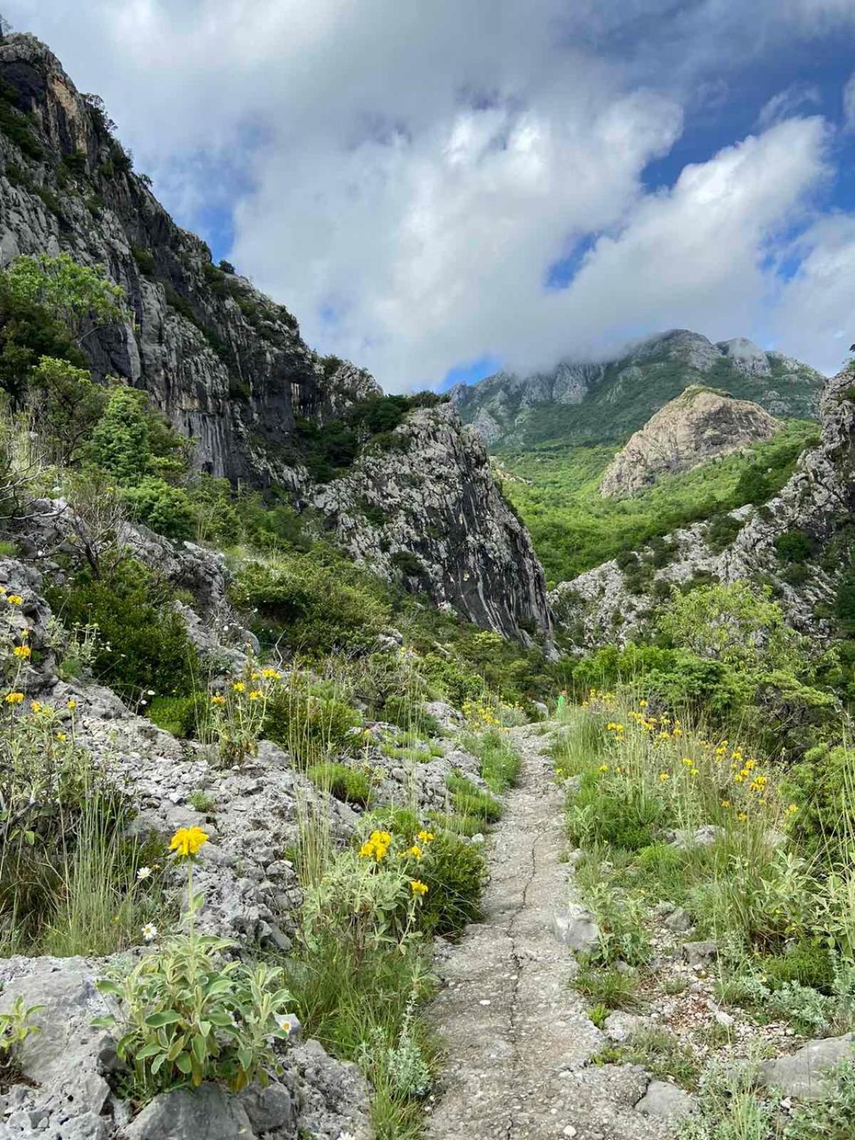 Apartmani Dumezic Bar Kültér fotó
